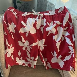 Quicksilver Swim Shorts